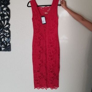 Sexy fitted lace midi dress brand new
